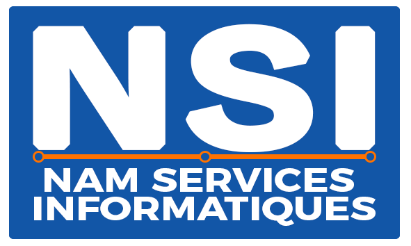 Logo_NSI